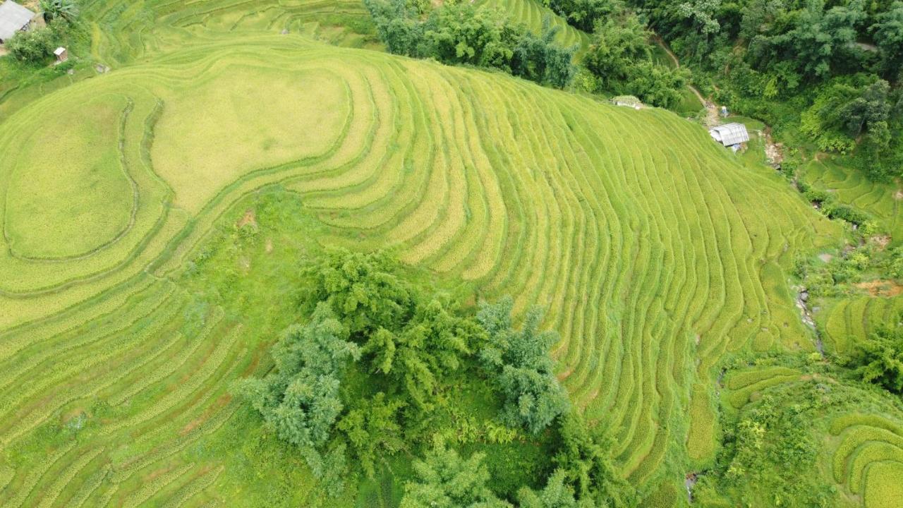 May Homestay Sapa Экстерьер фото